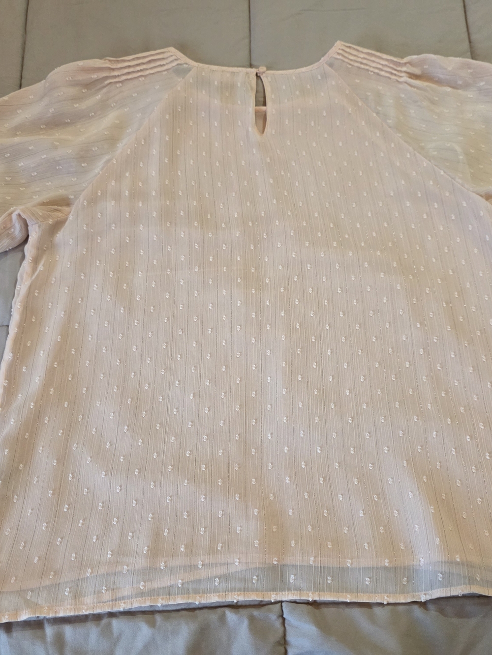 Calvin Klein Women's Light Cream Swiss Dot Blouse - Picture 9 of 12